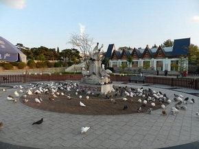 1461458681654599.jpg 1鴿子窩5.jpg